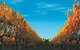 Nagambie Lakes Leisure Park - thumb 5