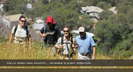 Alpine View Apartments - Port Augusta Accommodation 3