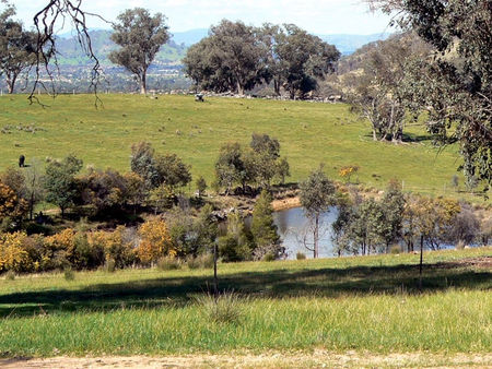 Gaddleen Grove Cottages - Port Augusta Accommodation 3