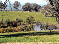 Gaddleen Grove Cottages - Port Augusta Accommodation 5