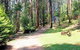Hill N Dale Farm Cottages - thumb 1