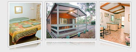 A Maze N Things Holiday Park - Port Augusta Accommodation 5
