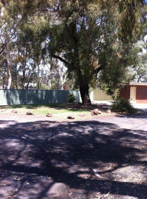 Golden Country Motel And Caravan Park - Port Augusta Accommodation 2