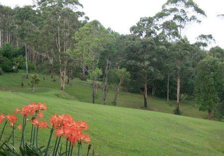 Woodridge Park Country Retreat - Port Augusta Accommodation 3