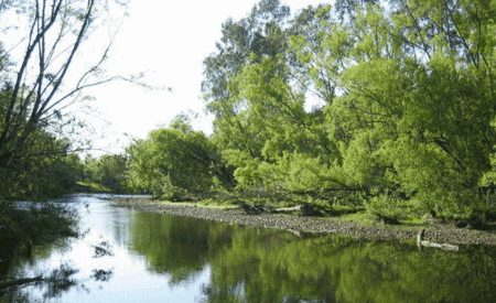 Ribbonwood Cottages - Port Augusta Accommodation