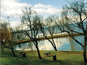 Lake Mulwala Holiday Park - Port Augusta Accommodation 2