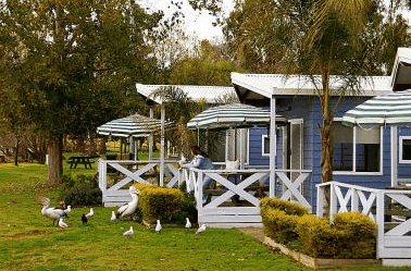 Lake Mulwala Holiday Park - Port Augusta Accommodation 3