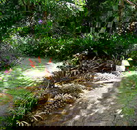 Coco's Country Cottage