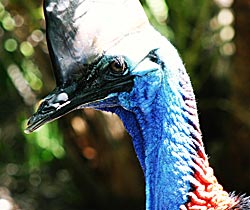 Alma Park Zoo - Port Augusta Accommodation 0