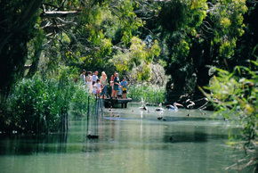 Cleland Wildlife Park - Port Augusta Accommodation 1
