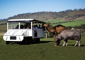 Zoo Doo Wildlife Park - Port Augusta Accommodation 2