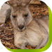 Abbotsbury NSW Port Augusta Accommodation