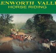 Glenworth Valley Horseriding