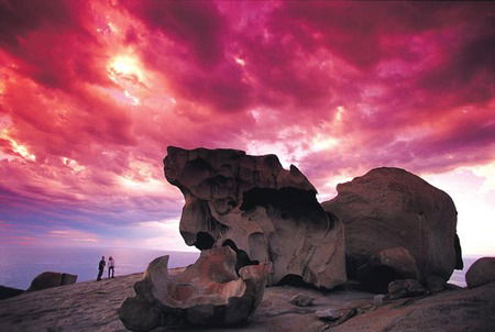 Kangaroo Island Adventure Tour 2 Day/1 Night - Port Augusta Accommodation 0