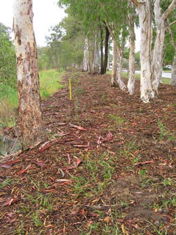 Kumbartcho Sanctuary - Port Augusta Accommodation 1
