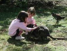 Urimbirra Wildlife Park - Port Augusta Accommodation 1