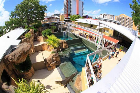 Crocosaurus Cove - Port Augusta Accommodation 1