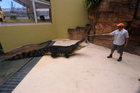 Crocosaurus Cove - Port Augusta Accommodation 2