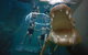 Crocosaurus Cove - thumb 3
