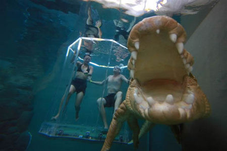 Crocosaurus Cove - Port Augusta Accommodation 3