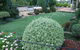 Abingdon Miniature Village - thumb 1