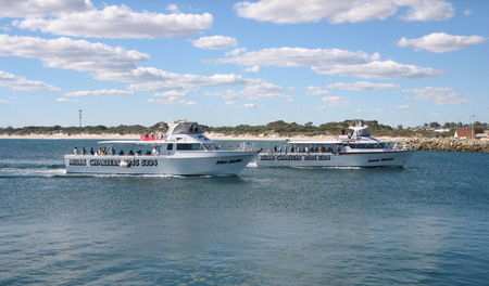 Mills Charters Fishing And Whale Watch Cruises - Port Augusta Accommodation 2