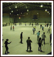 Bendigo Ice Stadium - Port Augusta Accommodation 1