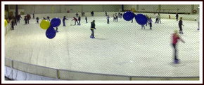 Bendigo Ice Stadium - Port Augusta Accommodation 2