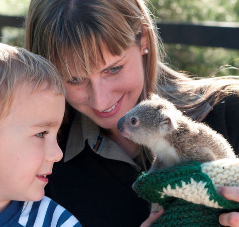 Australian Reptile Park - Port Augusta Accommodation 1