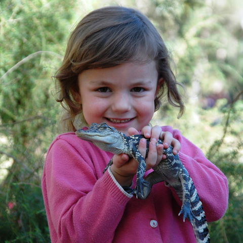 Australian Reptile Park - Port Augusta Accommodation 2