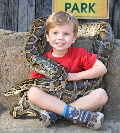 Australian Reptile Park - Port Augusta Accommodation 3