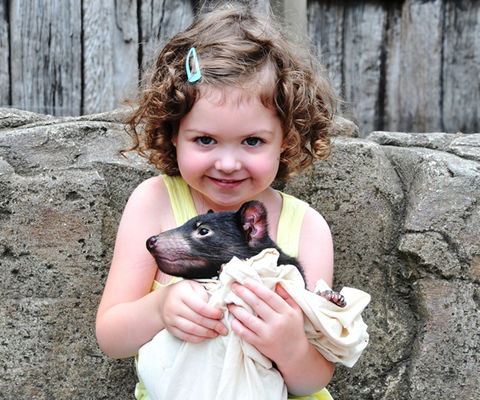 Australian Reptile Park - Port Augusta Accommodation 8