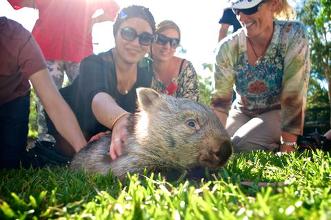 Australian Reptile Park - Port Augusta Accommodation 10