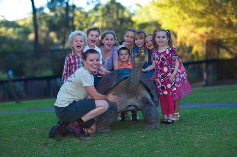 Australian Reptile Park - Port Augusta Accommodation 11