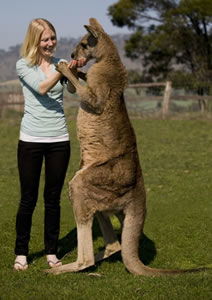 Zoo Doo Wildlife Park - Port Augusta Accommodation 5