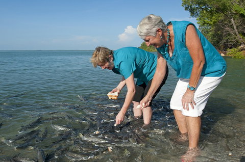 Aquascene Fish Feeding Sanctuary - Port Augusta Accommodation 0