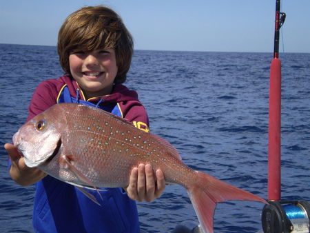 Mills Charters Fishing And Whale Watch Cruises - Port Augusta Accommodation 4