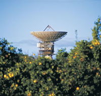 Big Dish - Port Augusta Accommodation