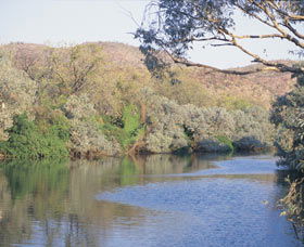 Alligator Hole - Port Augusta Accommodation 0