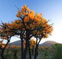 Cape Le Grand National Park - Port Augusta Accommodation