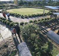 Kojonup Rose Maze - Port Augusta Accommodation