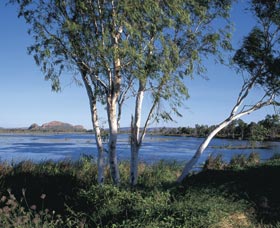Celebrity Tree Park - Port Augusta Accommodation 0
