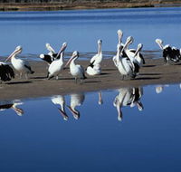 Peel Region Canoe Trails - Port Augusta Accommodation