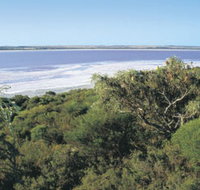 Pink Lake - Port Augusta Accommodation