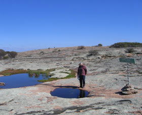 Dingo Rock - Port Augusta Accommodation 0