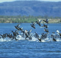 Ord River - Port Augusta Accommodation