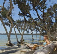 Stokes National Park - Port Augusta Accommodation