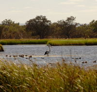 Anytime Adventures in Mandurah  the Peel Region - Port Augusta Accommodation