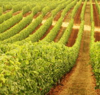 Happs Wines - Port Augusta Accommodation