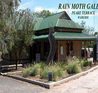 Rain Moth Gallery